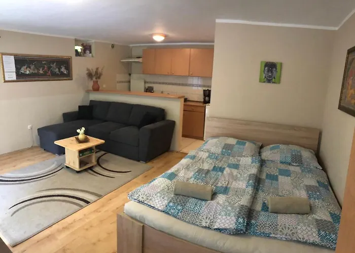 Tulipan-apartman Апартаменты *